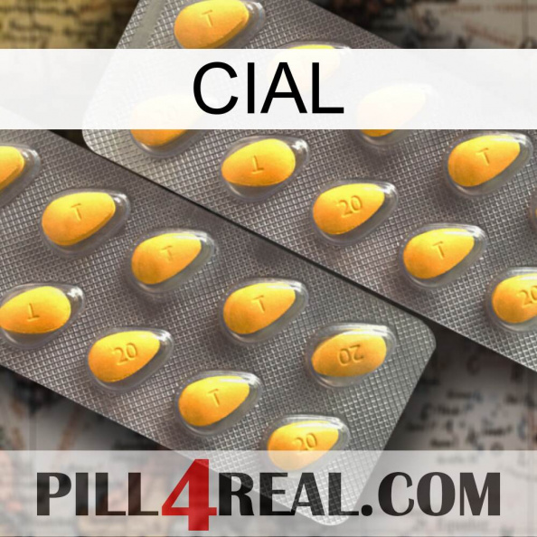 Cial cialis2.jpg